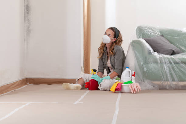 Reliable Mold Remediation contractor in Westminster, TX by WQB Mold Removal